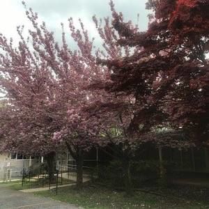 Meet your Posher, Rena